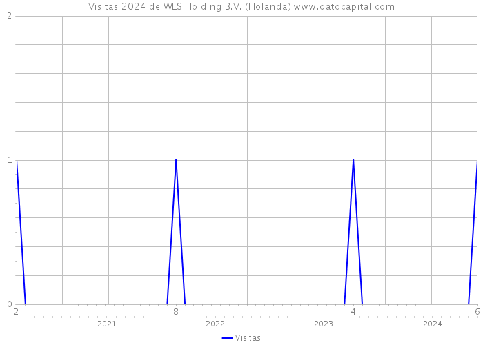 Visitas 2024 de WLS Holding B.V. (Holanda) 