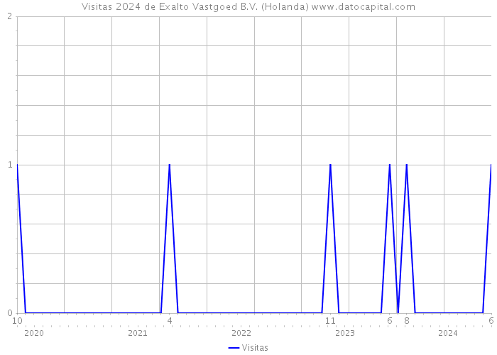 Visitas 2024 de Exalto Vastgoed B.V. (Holanda) 