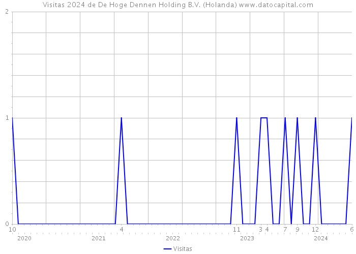 Visitas 2024 de De Hoge Dennen Holding B.V. (Holanda) 