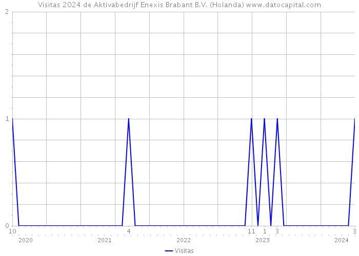 Visitas 2024 de Aktivabedrijf Enexis Brabant B.V. (Holanda) 