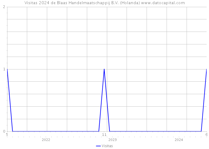 Visitas 2024 de Blaas Handelmaatschappij B.V. (Holanda) 