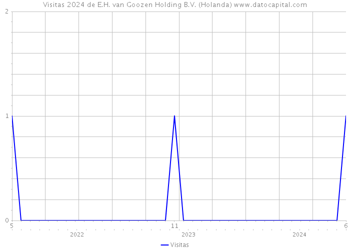 Visitas 2024 de E.H. van Goozen Holding B.V. (Holanda) 