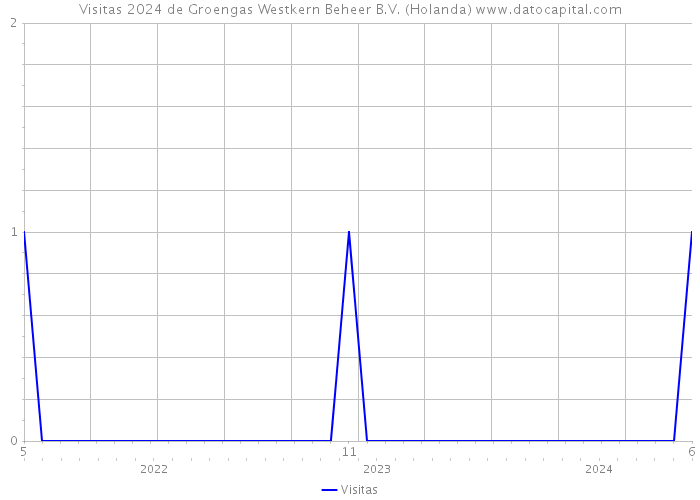 Visitas 2024 de Groengas Westkern Beheer B.V. (Holanda) 