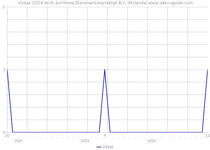 Visitas 2024 de H. Jorritsma Dierenartsenpraktijk B.V. (Holanda) 