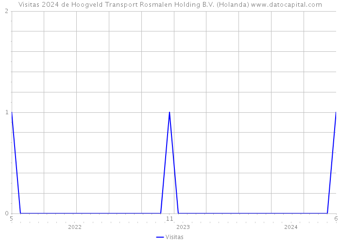 Visitas 2024 de Hoogveld Transport Rosmalen Holding B.V. (Holanda) 