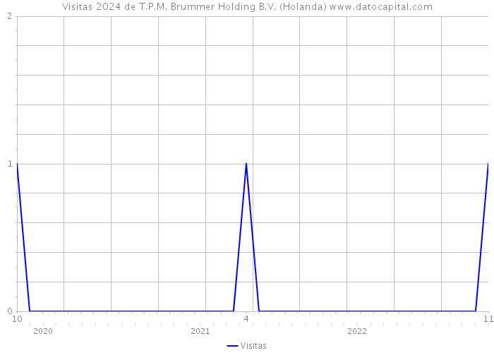 Visitas 2024 de T.P.M. Brummer Holding B.V. (Holanda) 