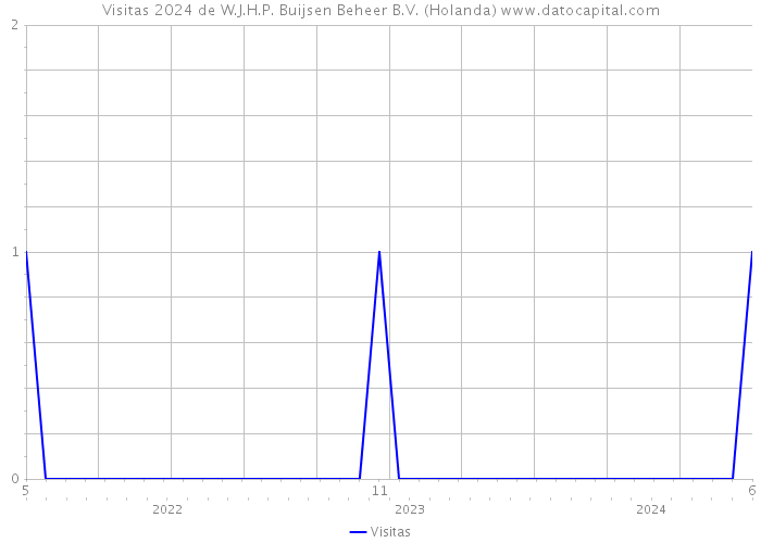 Visitas 2024 de W.J.H.P. Buijsen Beheer B.V. (Holanda) 