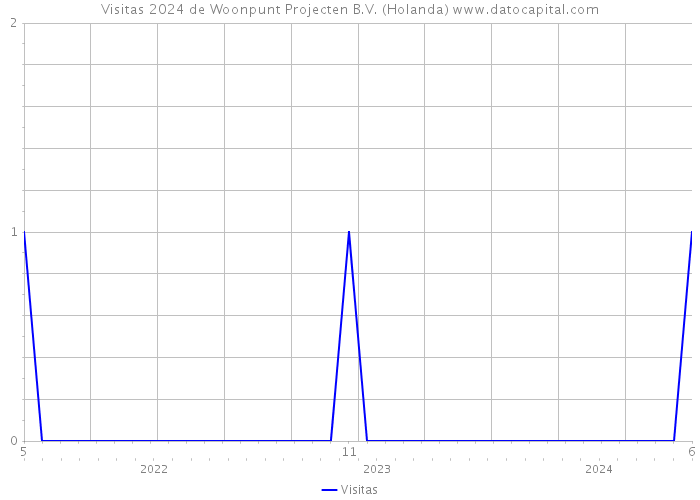 Visitas 2024 de Woonpunt Projecten B.V. (Holanda) 