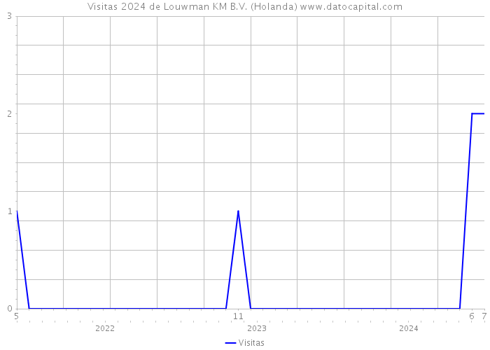 Visitas 2024 de Louwman KM B.V. (Holanda) 