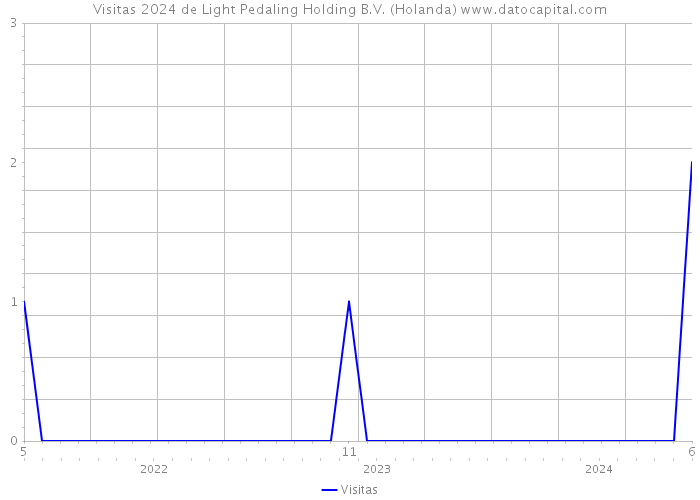 Visitas 2024 de Light Pedaling Holding B.V. (Holanda) 