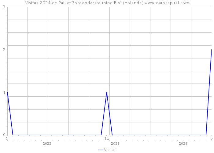 Visitas 2024 de Paillet Zorgondersteuning B.V. (Holanda) 