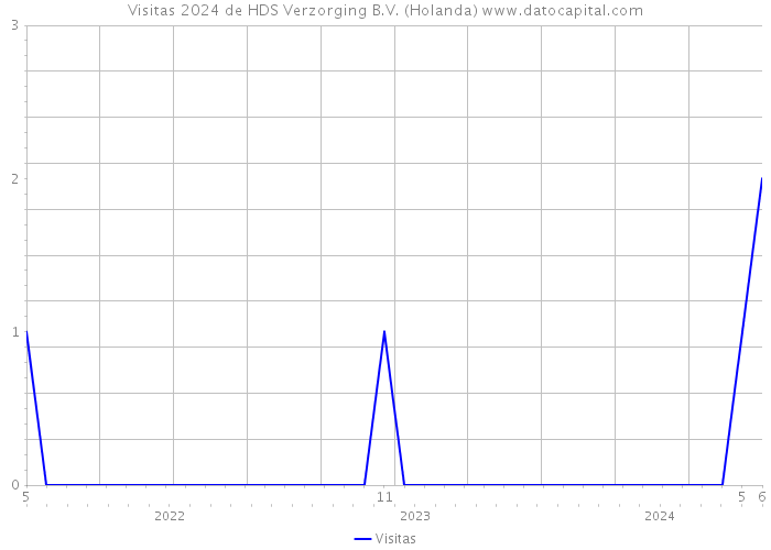 Visitas 2024 de HDS Verzorging B.V. (Holanda) 