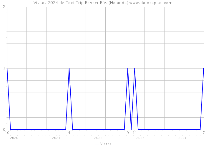 Visitas 2024 de Taxi Trip Beheer B.V. (Holanda) 