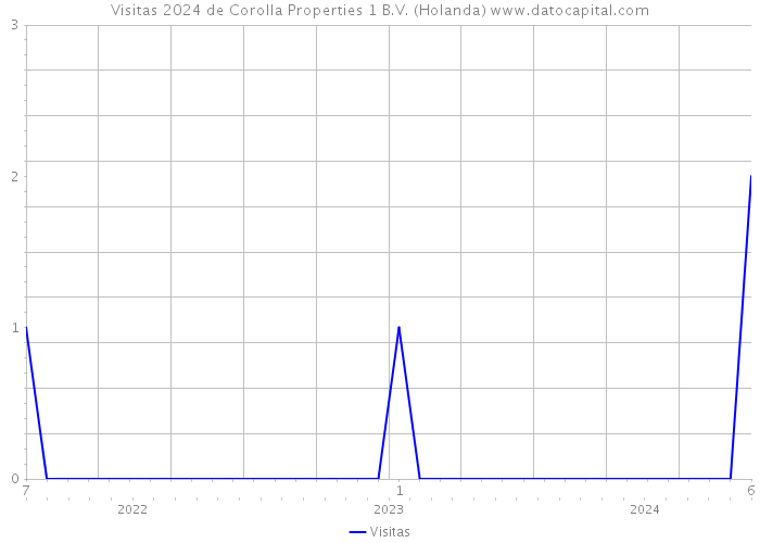 Visitas 2024 de Corolla Properties 1 B.V. (Holanda) 