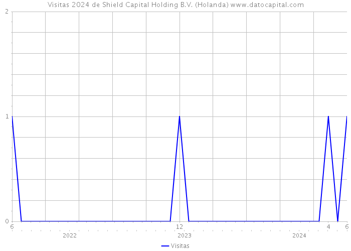Visitas 2024 de Shield Capital Holding B.V. (Holanda) 