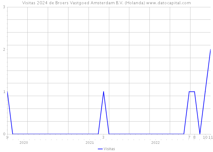 Visitas 2024 de Broers Vastgoed Amsterdam B.V. (Holanda) 