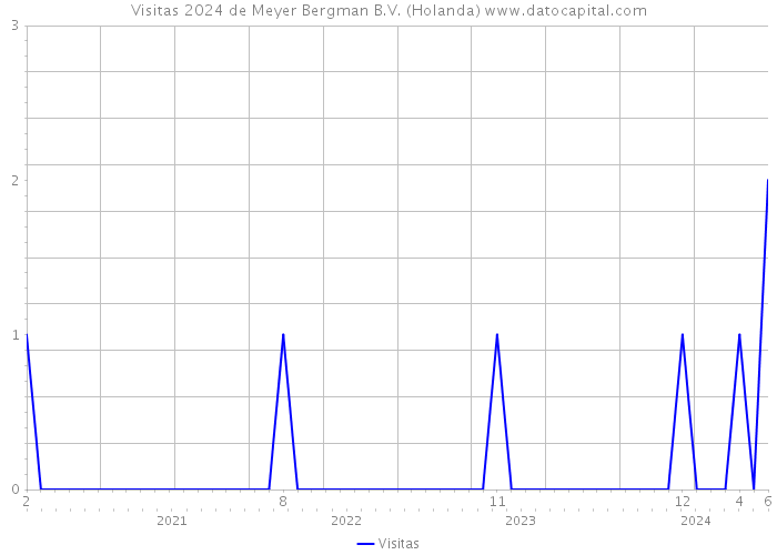 Visitas 2024 de Meyer Bergman B.V. (Holanda) 