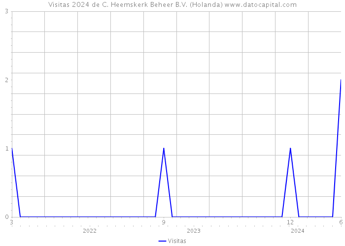 Visitas 2024 de C. Heemskerk Beheer B.V. (Holanda) 