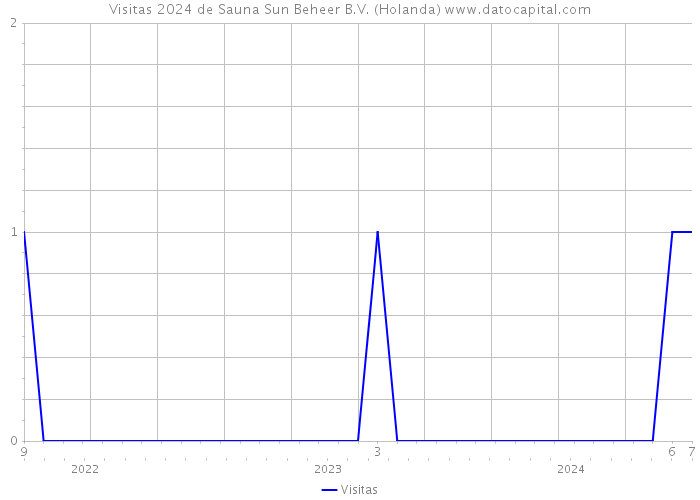 Visitas 2024 de Sauna Sun Beheer B.V. (Holanda) 