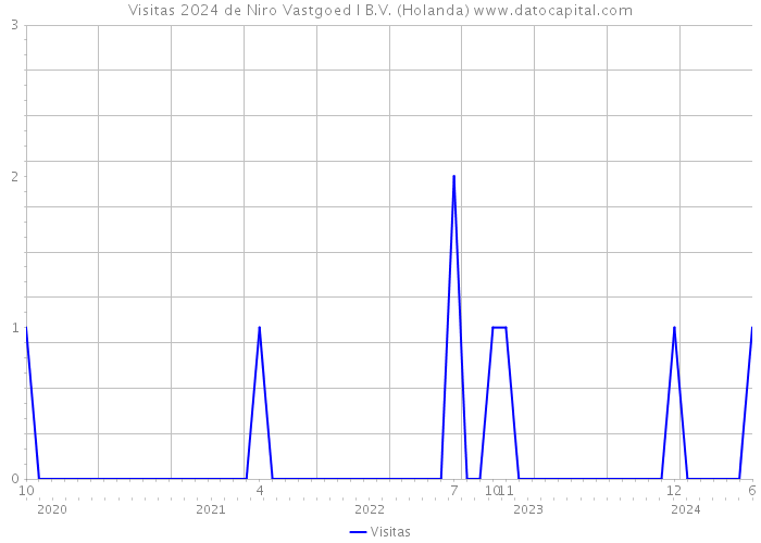 Visitas 2024 de Niro Vastgoed I B.V. (Holanda) 