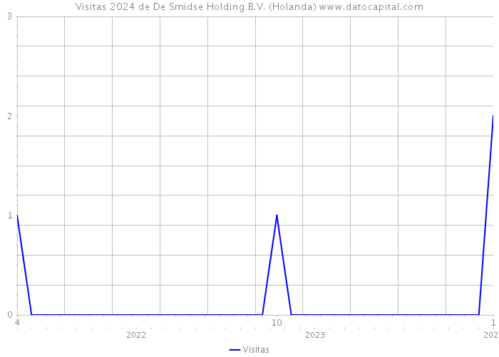 Visitas 2024 de De Smidse Holding B.V. (Holanda) 