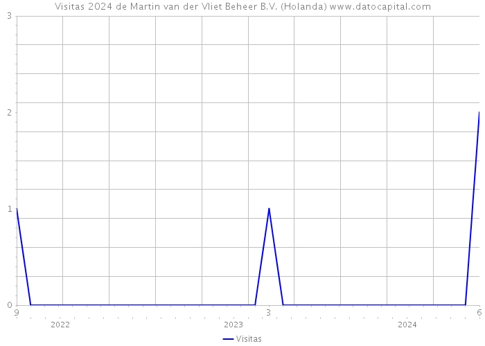 Visitas 2024 de Martin van der Vliet Beheer B.V. (Holanda) 