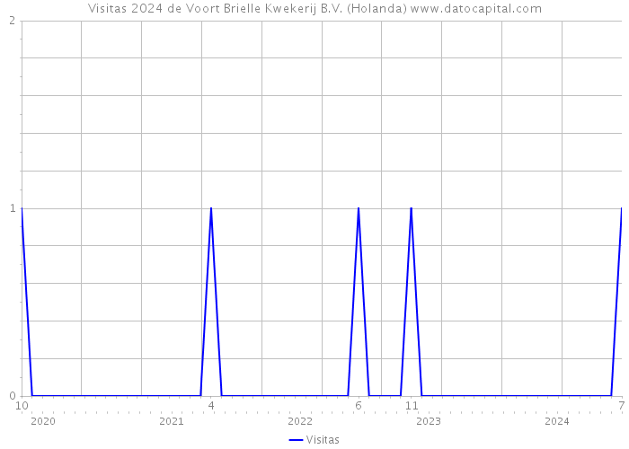 Visitas 2024 de Voort Brielle Kwekerij B.V. (Holanda) 