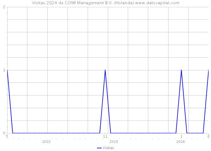 Visitas 2024 de COWI Management B.V. (Holanda) 