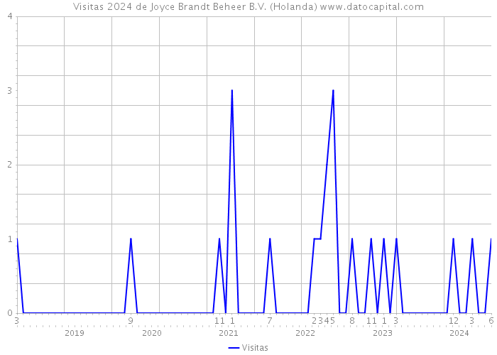 Visitas 2024 de Joyce Brandt Beheer B.V. (Holanda) 