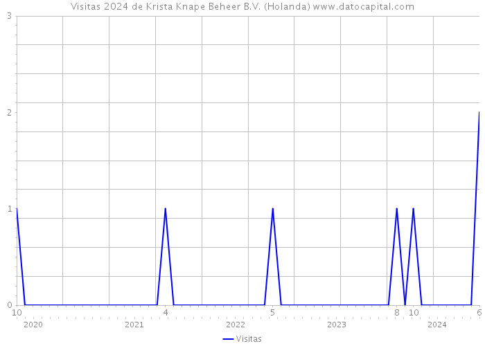 Visitas 2024 de Krista Knape Beheer B.V. (Holanda) 