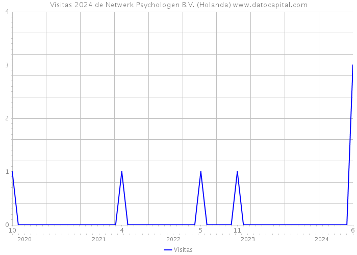 Visitas 2024 de Netwerk Psychologen B.V. (Holanda) 