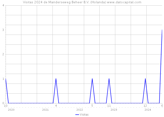 Visitas 2024 de Manderseweg Beheer B.V. (Holanda) 