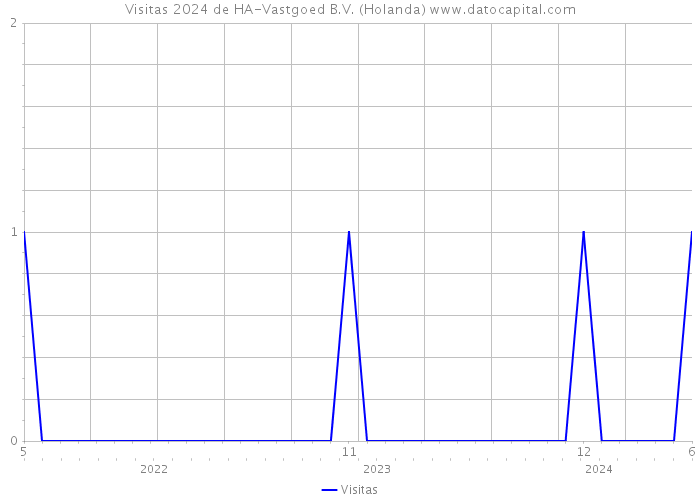 Visitas 2024 de HA-Vastgoed B.V. (Holanda) 