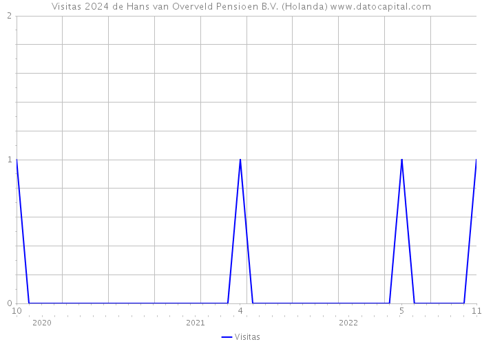 Visitas 2024 de Hans van Overveld Pensioen B.V. (Holanda) 