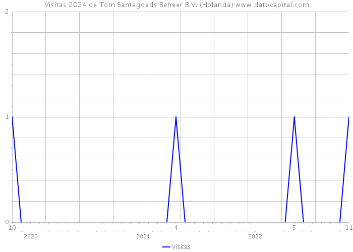 Visitas 2024 de Tom Santegoeds Beheer B.V. (Holanda) 