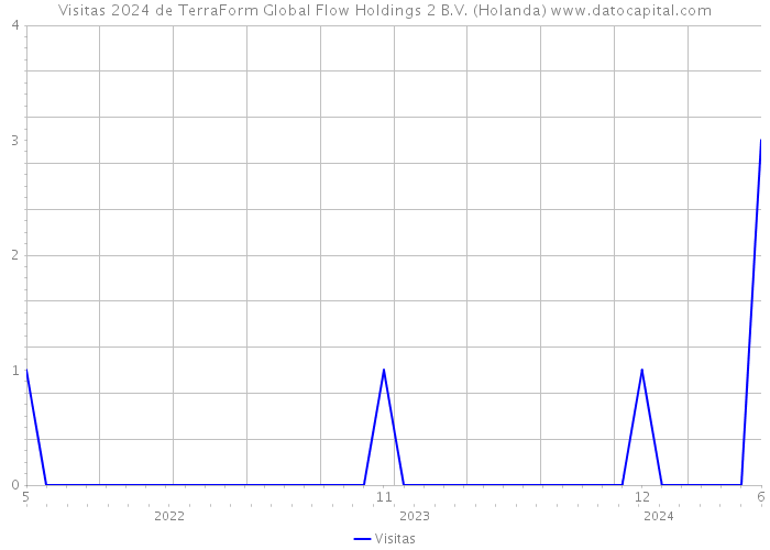 Visitas 2024 de TerraForm Global Flow Holdings 2 B.V. (Holanda) 