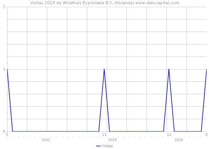 Visitas 2024 de Woldhuis Exploitatie B.V. (Holanda) 