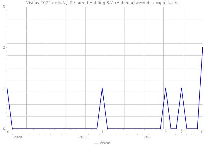 Visitas 2024 de N.A.J. Straathof Holding B.V. (Holanda) 