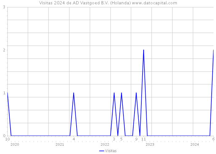 Visitas 2024 de AD Vastgoed B.V. (Holanda) 