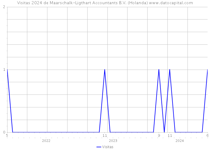 Visitas 2024 de Maarschalk-Ligthart Accountants B.V. (Holanda) 