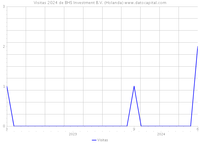 Visitas 2024 de BHS Investment B.V. (Holanda) 