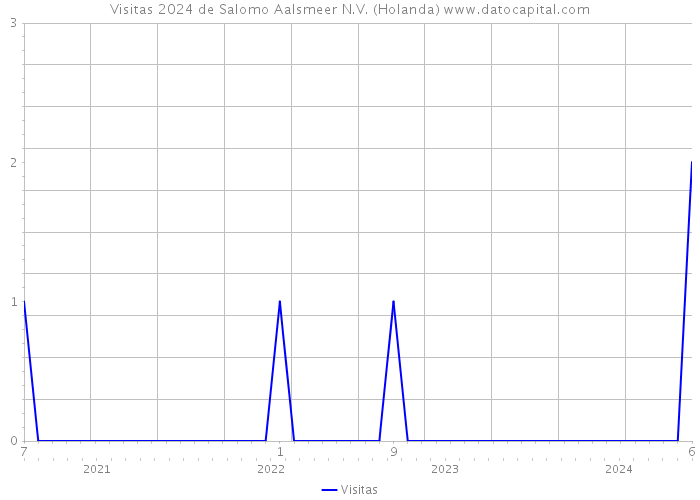 Visitas 2024 de Salomo Aalsmeer N.V. (Holanda) 