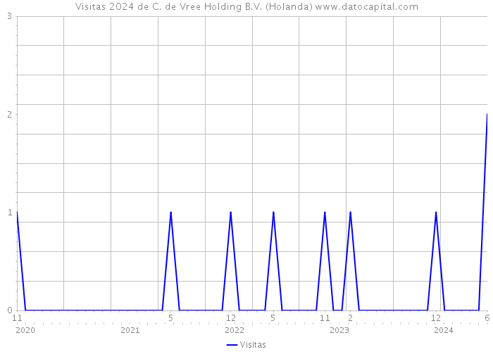 Visitas 2024 de C. de Vree Holding B.V. (Holanda) 