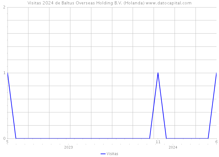 Visitas 2024 de Baltus Overseas Holding B.V. (Holanda) 