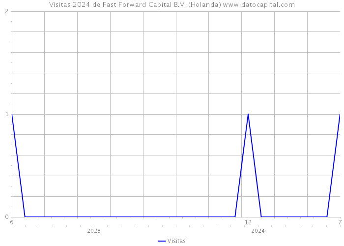 Visitas 2024 de Fast Forward Capital B.V. (Holanda) 