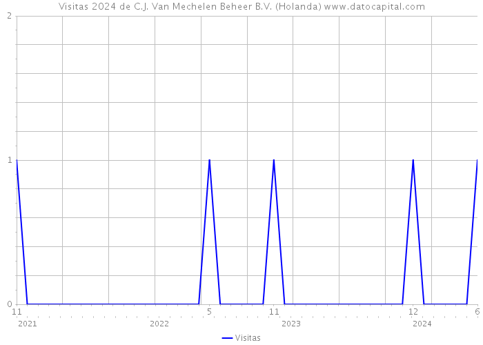 Visitas 2024 de C.J. Van Mechelen Beheer B.V. (Holanda) 