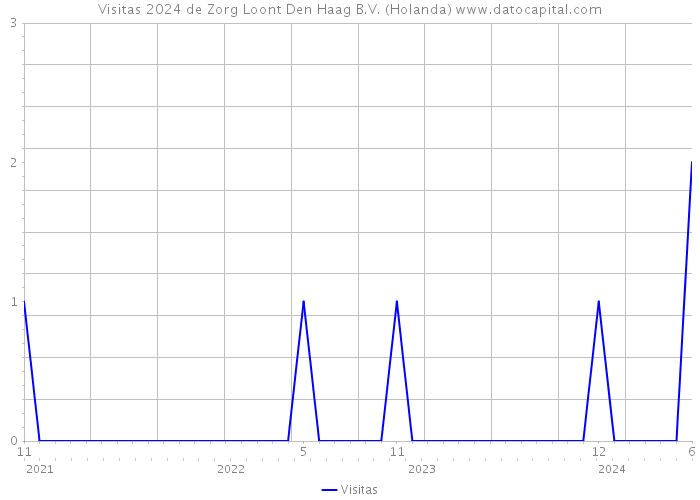 Visitas 2024 de Zorg Loont Den Haag B.V. (Holanda) 