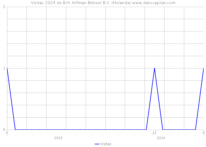 Visitas 2024 de B.H. Arfman Beheer B.V. (Holanda) 