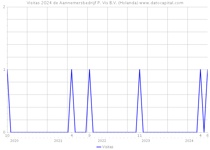 Visitas 2024 de Aannemersbedrijf P. Vis B.V. (Holanda) 