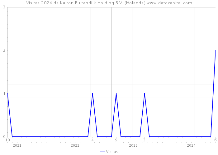 Visitas 2024 de Kaiton Buitendijk Holding B.V. (Holanda) 